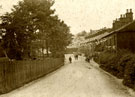 View: c09374 Alderley Edge: street decorated with bunting