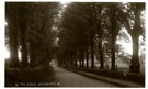 View: c09614 Gawsworth: The Avenue