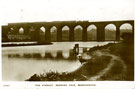 View: c09765 Stockport: Viaduct at Reddish Vale