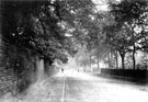 View: c09844 Northwich: School Lane, Hartford