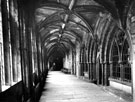 View: c10250 Chester: Chester Cathedral cloisters