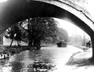 View: c10359 Chester: Canal and bridge
