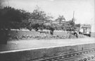 View: c11635 Holmes Chapel: Gardening at Holmes Chapel station