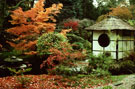 View: c11652 Knutsford: Japanese Garden at Tatton Park
