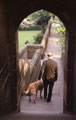 View: c11737 Chester: The City Walls