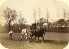 View: c13057 Man ploughing field with a horse-drawn plough