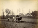 View: c13065 Man ploughing field with a horse-drawn plough in spring