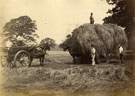 View: c13066 Haymaking, Summer