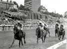 View: c13864 Chester: Chester Racecourse, Chester Races