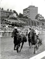 View: c13866 Chester: Chester Racecourse, Chester Races