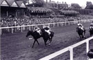 View: c13908 Chester: Roodee, Chester Races