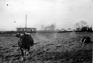 View: ch0900 Blacon Point Farm 	