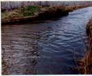 View: ch0918 Blacon, Canal 	