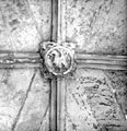 View: ch2692 Pelican Crest Boss