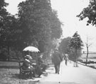 View: ch2766 The Groves, Suspension Bridge