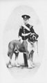 View: ch2782 Chester, St Bernard Dog-mascot, drummer 	