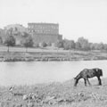 View: ch2892 Castle from the South West