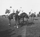 View: ch2926 Start of a race at Roodee	
