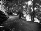 View: ch3115 Chester, River Walk 	