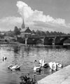 View: ch3167 Old Dee Bridge and St Mary's without the Walls 	