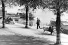 View: ch3172 Chester, The Groves	
