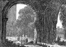 View: ch3188 Unidentified 	