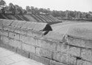 View: ch3451 Embankment and Walls above Roodee 	