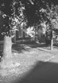 View: ch3454 Chester, Bridge Place 	