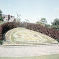 View: ch3516 Chester, Grosvenor Pk 	