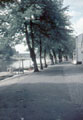 View: ch3572 Chester, The Groves 	
