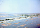 View: ch3608 Dee at Parkgate