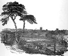 View: ch4016 Chester from Boughton Heath