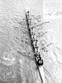 View: ch4485 Putney	