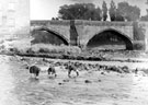 View: ch4498 Chester, Old Dee Bridge