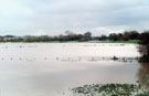 View: ch4878 River Gowy, Bridge Trafford