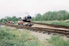 View: ch4884 Mickle Trafford 	