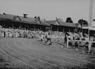 View: ch6101 Chester, Roodee 	