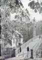 View: ch6234 Chester, The Groves