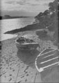 View: ch6239 Sealand