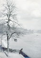 View: ch6243 Chester, The Groves	