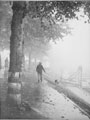 View: ch6264 River Dee and the Groves in the mist