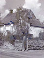 View: ch6274 Mickle Trafford 	