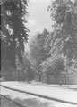 View: ch6282 Curzon Park before cobbles covered and tramlines removed 	