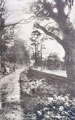View: ch6351 Kelsall