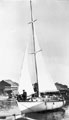 View: ch6396 Chester, Taylor's Boatyard 	