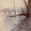 View: ch6961 Chester, River Dee 	