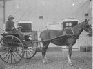 View: ch7359 Chester, 	