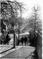 View: ch7387 Chester, The Groves 	