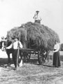 View: ch7448 Cheshire, Upton 	