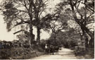 View: ch7705 Eastham
